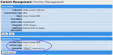 Screenshot of the Version Management page with file selected